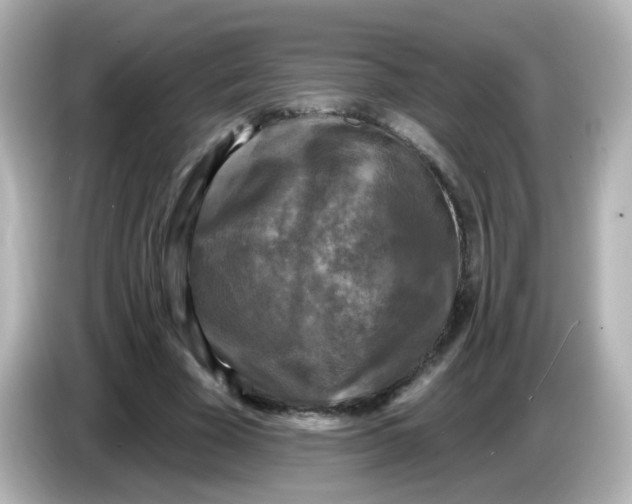 X0000086050585200704091211