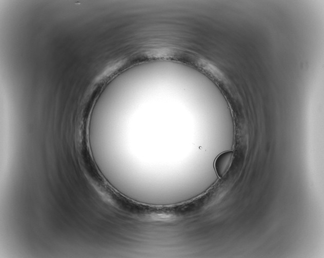 X0000086050586200704091211