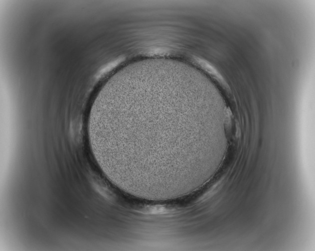 X0000086050588200704091211
