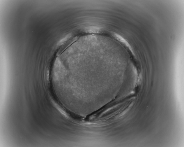 X0000086050589200704091211