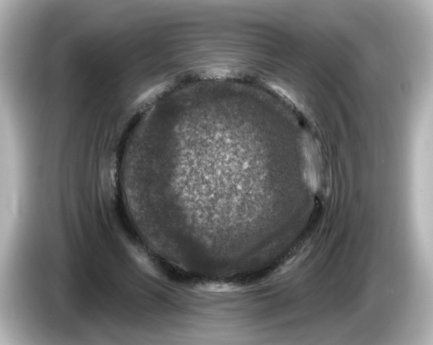 X0000086050590200704091211