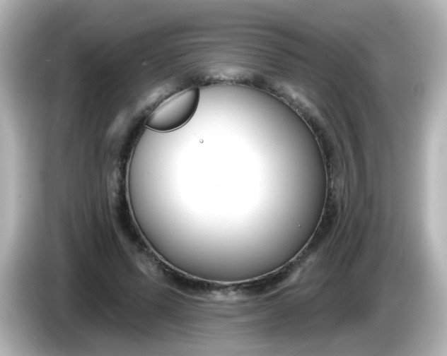 X0000086050591200704091211