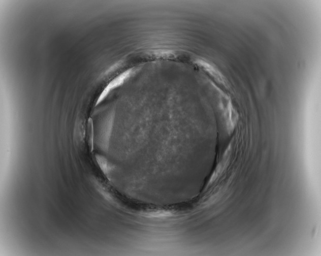 X0000086050593200704091211