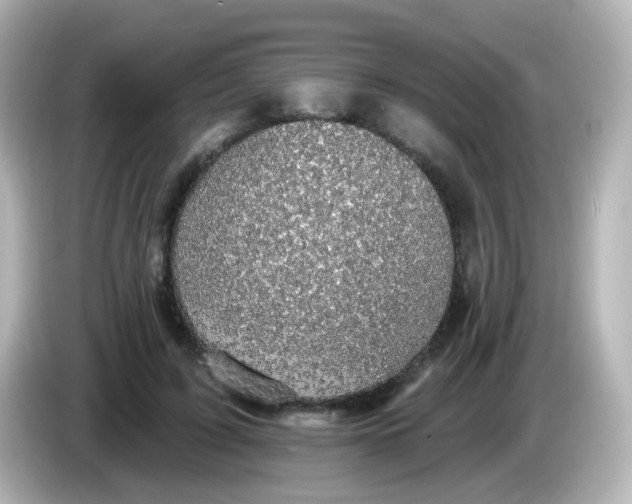 X0000086050595200704091211