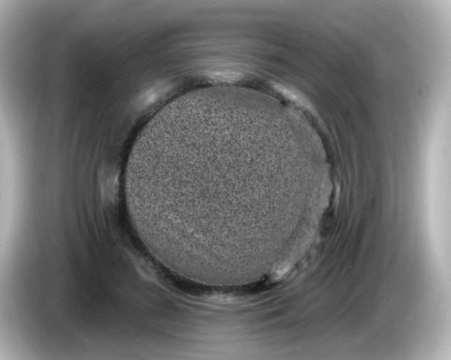 X0000086050596200704091211