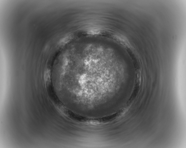 X0000086050598200704091211