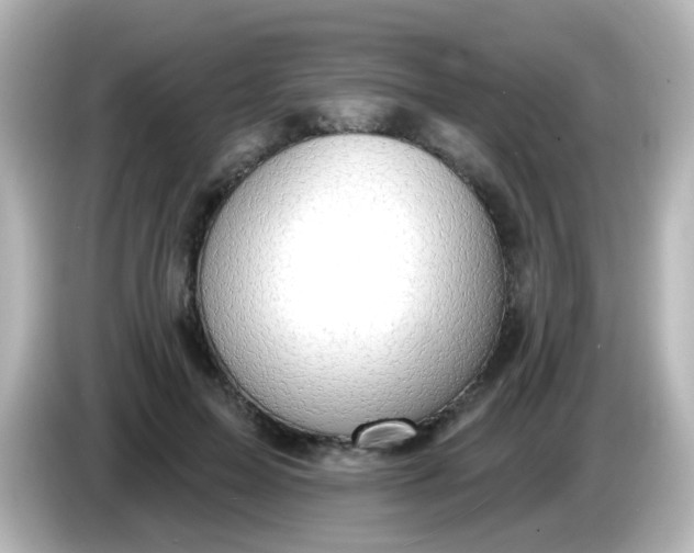 X0000086050599200704091211
