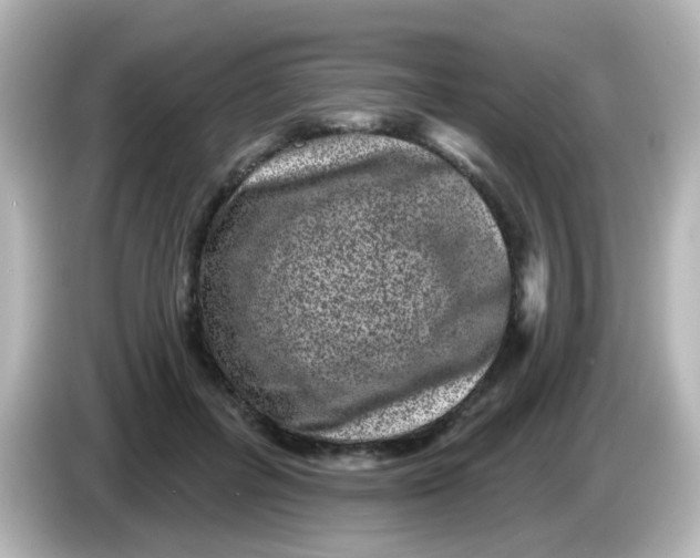X0000086050600200704091211
