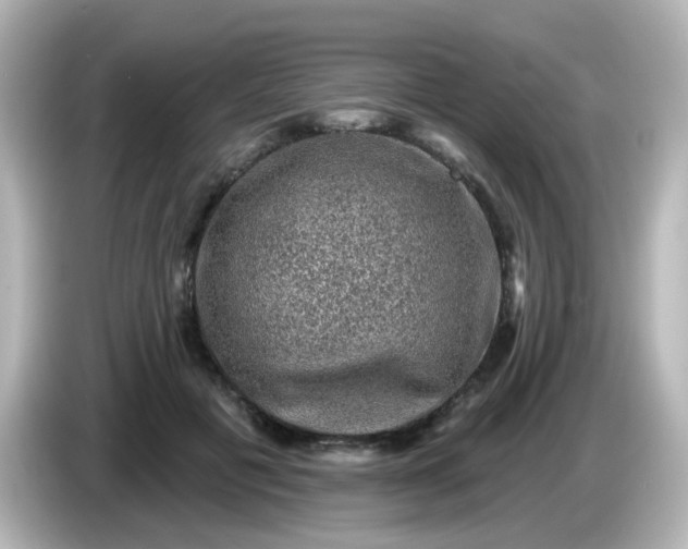 X0000086050601200704091211