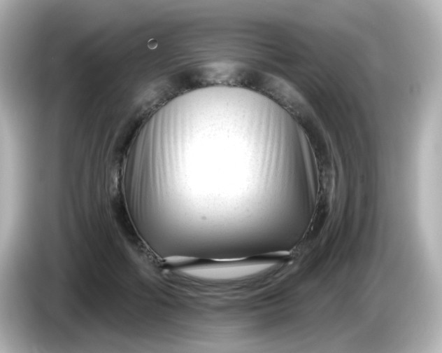X0000086050602200704091211