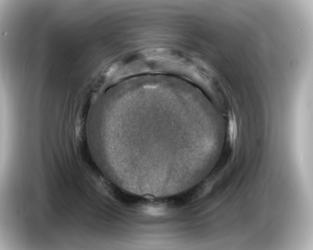 X0000086050604200704091211