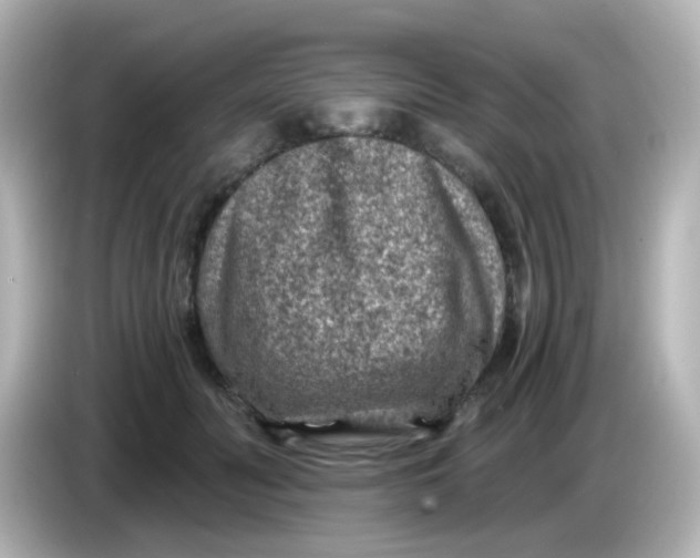 X0000086050606200704091211
