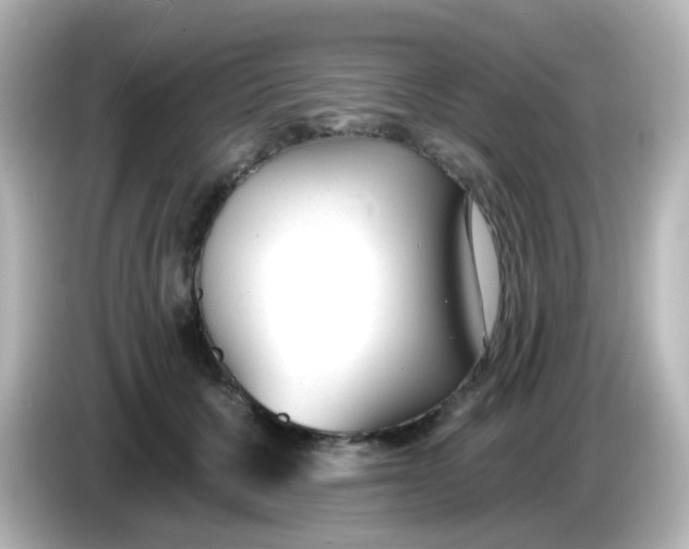 X0000086050607200704091211