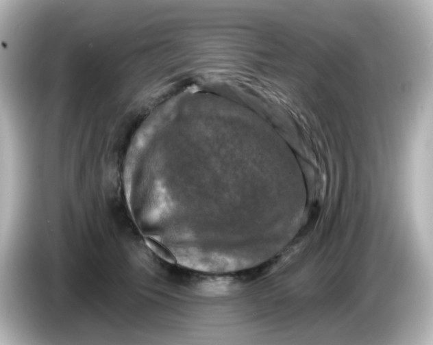 X0000086050609200704091211