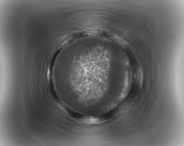 X0000086050610200704091211