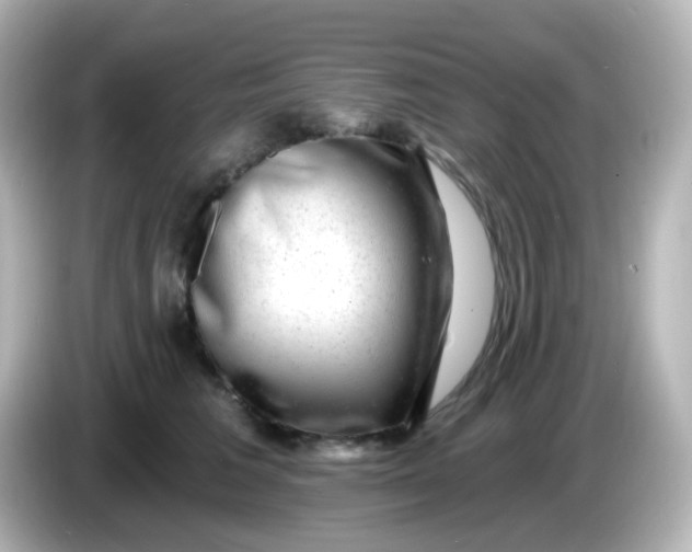X0000086050613200704091211