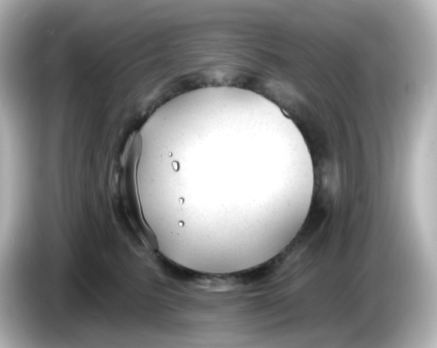 X0000086050615200704091211