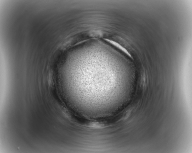 X0000086050616200704091211
