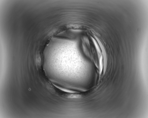 X0000086050617200704091211