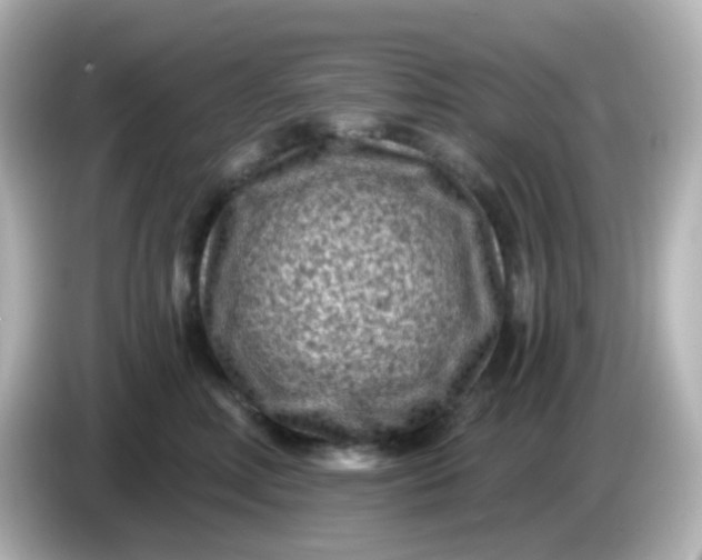 X0000086050618200704091211