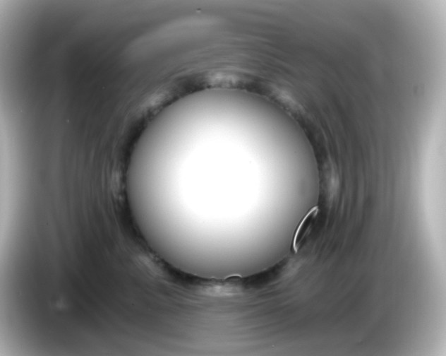X0000086050619200704091211