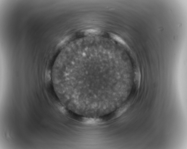 X0000086050621200704091211