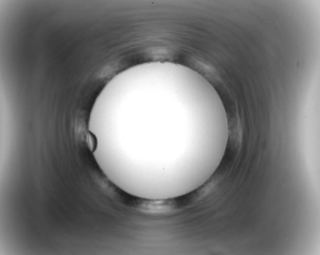 X0000086050622200704091211