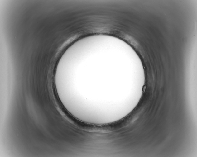 X0000086050625200704091210
