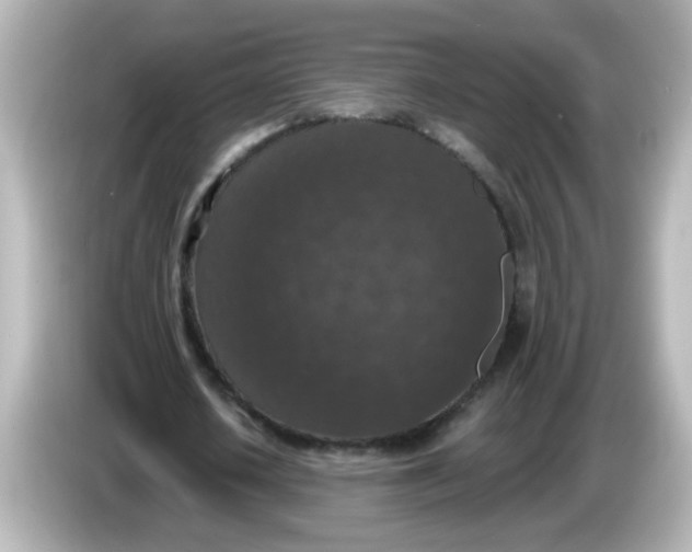 X0000086050626200704091210