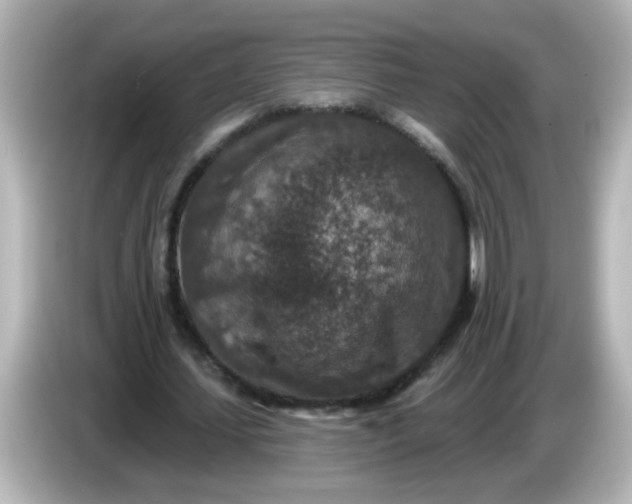 X0000086050627200704091210