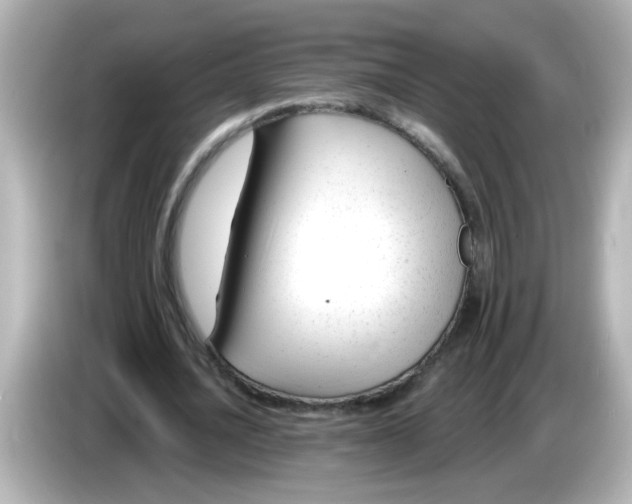 X0000086050628200704091210