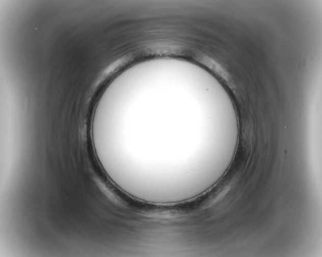 X0000086050629200704091210