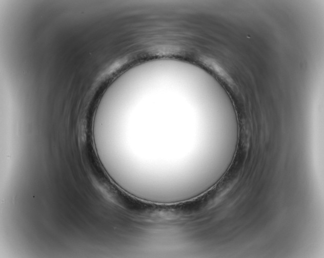 X0000086050631200704091210