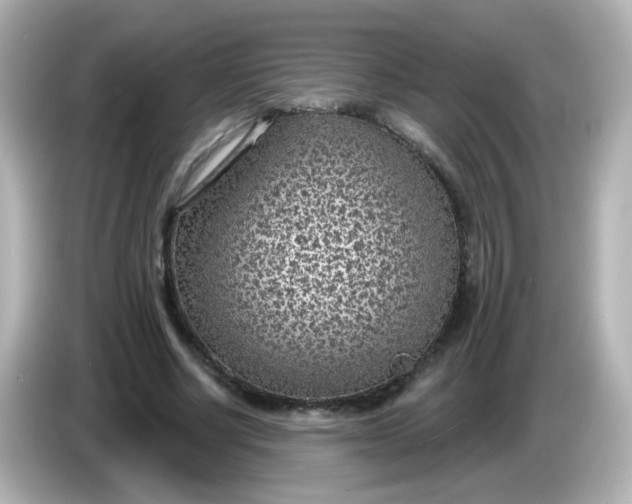 X0000086050634200704091210