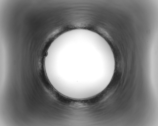 X0000086050635200704091210