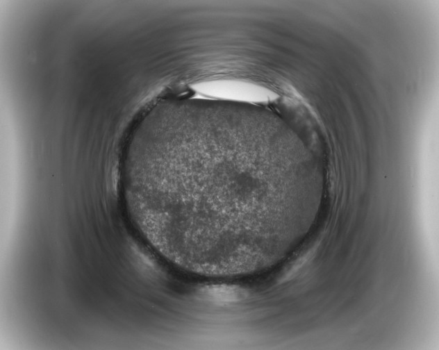 X0000086050637200704091210