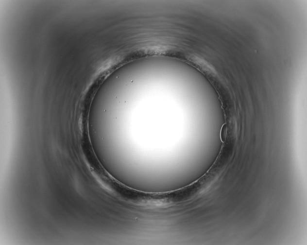 X0000086050638200704091210