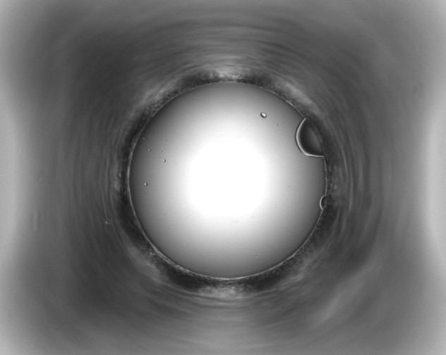 X0000086050639200704091210