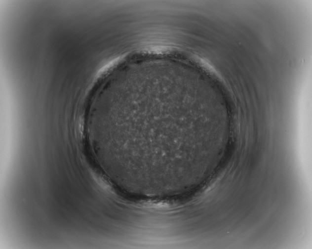 X0000086050640200704091210