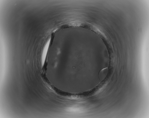 X0000086050641200704091210