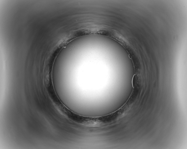 X0000086050642200704091210