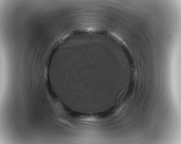 X0000086050643200704091210