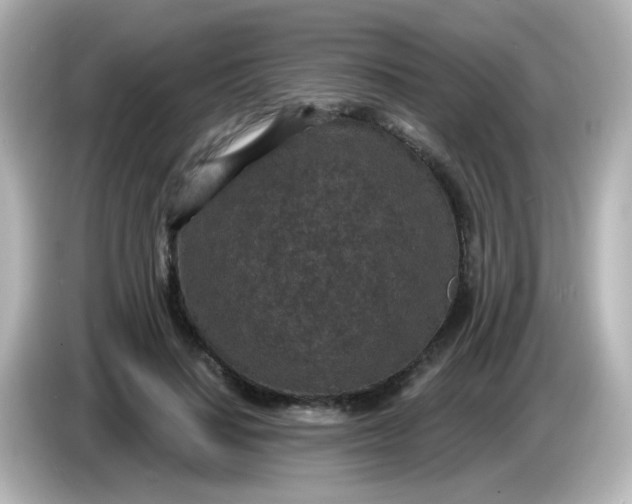 X0000086050644200704091210
