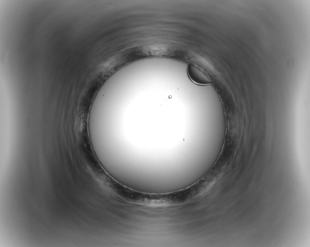 X0000086050645200704091210