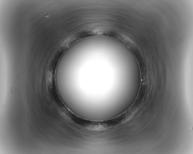 X0000086050646200704091210
