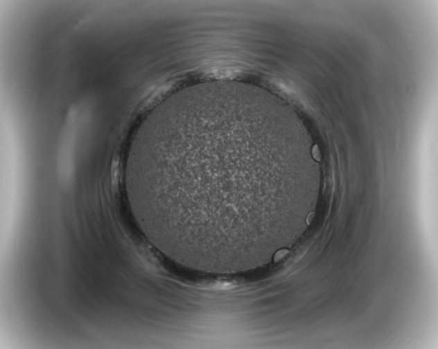 X0000086050647200704091210
