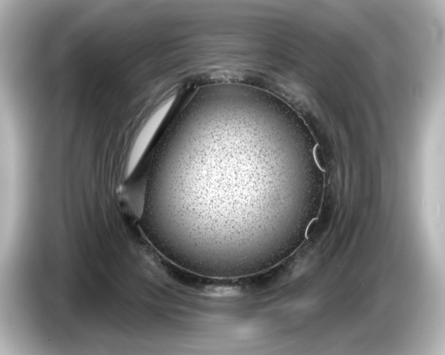 X0000086050649200704091210