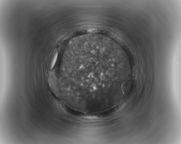 X0000086050650200704091210