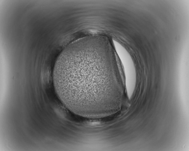 X0000086050651200704091210