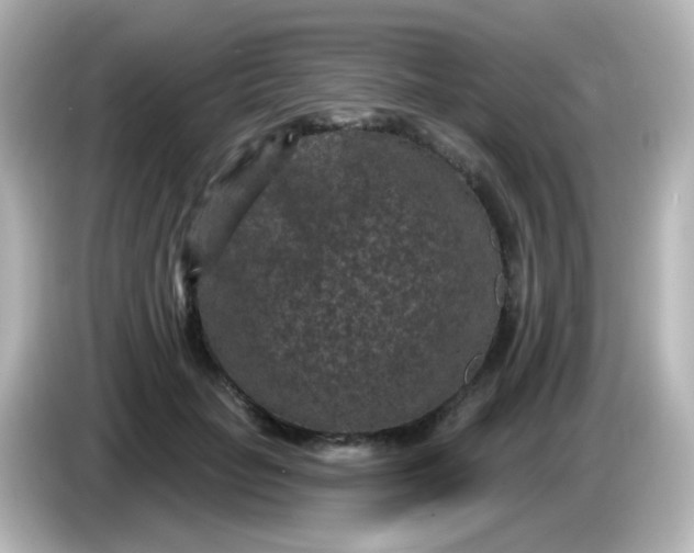X0000086050653200704091210